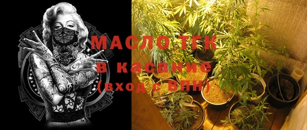 крисы Липки