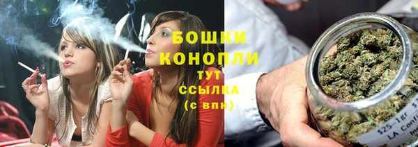 PSILOCYBIN Магас