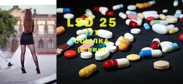 PSILOCYBIN Магас