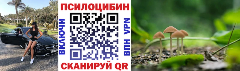 Галлюциногенные грибы Psilocybine cubensis  Черноголовка 