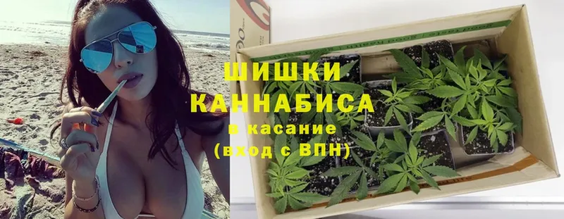 наркота  Черноголовка  Бошки марихуана Amnesia 